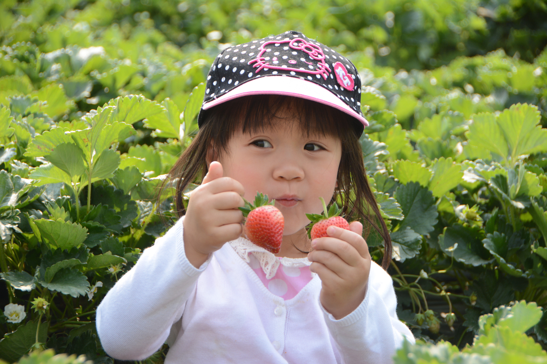 Baby Picking Strawberry